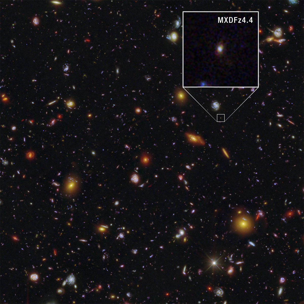 Hubble deep field with MXDFz4.4
