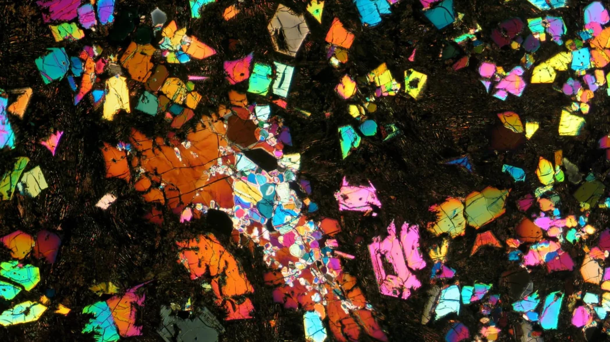 A section of NWA 12774 under cross-polarized light