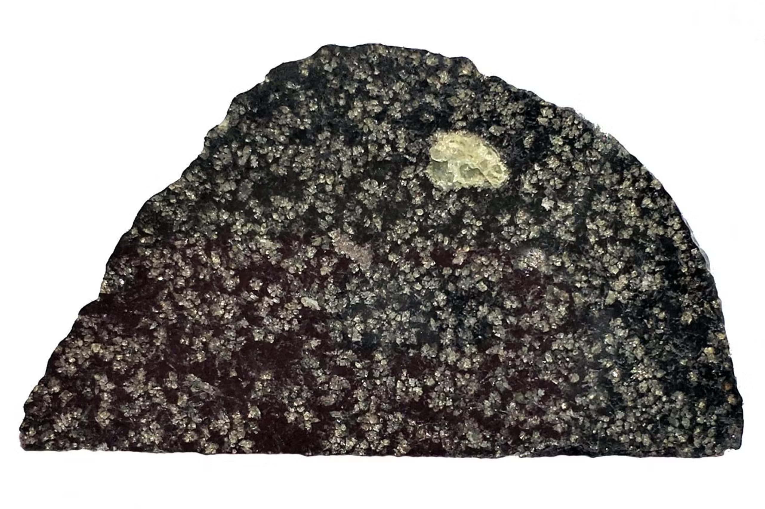 A slice of NWA 12774 with an olivine crystal