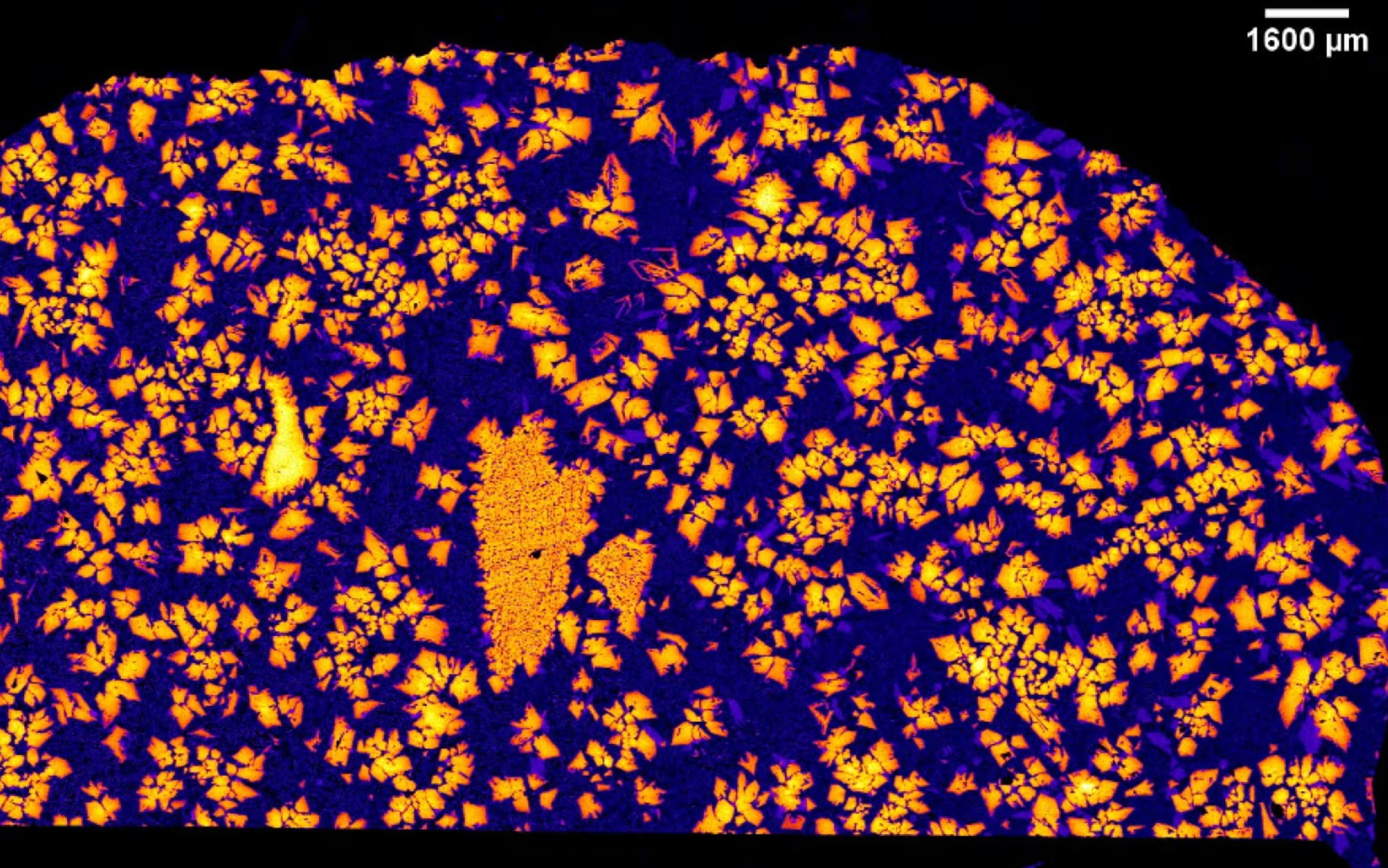 An X-ray image of NWA 12774